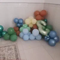 تم تولد