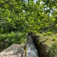 زمین-1-500-متر-بوژان-بهترین-لوکیشن