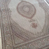 جفت نه متری ماهی
