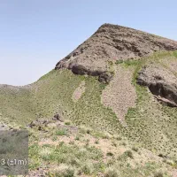 بازنشسته یا هیات علمی یا مهندس مشاور