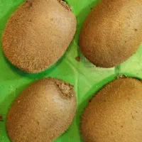 فروش کیوی درجه یک قائمشهر