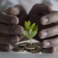 سرمایه ات را چند برابر کن