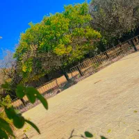 باغ-ویلا-در-مرکز-شهر-جوپار