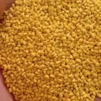 بذر یونجه برادران موسوی