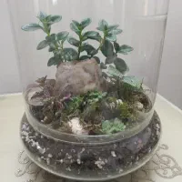 تراریوم مرطوب