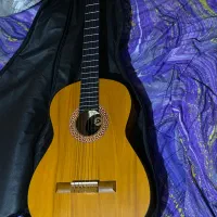 فروش گیتار نو