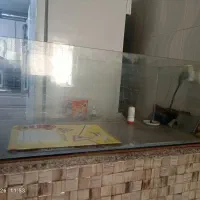 آکواریوم