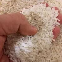 برنج ایرانی کف قیمت