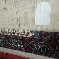 آموزش قالی بافی تابلونیاز به نفرقالی باف جهت همکار