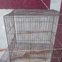 قفس پرنده