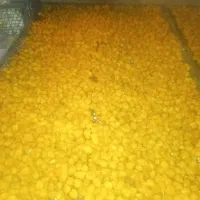 آلو|خوردنی و آشامیدنی|نیشابور, مبارکه|دیوار