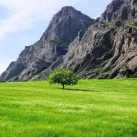 زمین کشاورزی