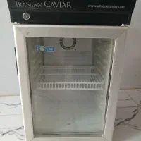 یخچال شوک 30لیتری کینو