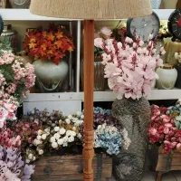 آباژور کنار سالنی