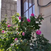 ویلایی-سه-طبقه-خیابان-نهضت