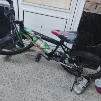 دچرخه ۲۰ ویوا
