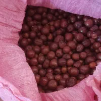 عناب