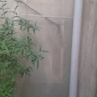 شیشه پنجره