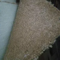 پالاز موکت
