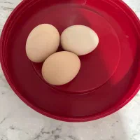 تخم مرغ