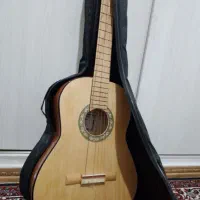 گیتار c40