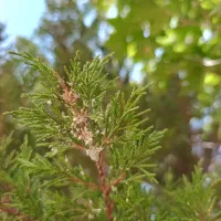 فروش خانه و زمین