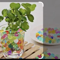 خاک ژله ای برای زیر گلدان بسته ۲۰ عددی