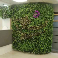 دیوار سبز مدل تراکم بالا و حالت طبیعی