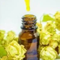 عصاره رازک مخصوص مزه دار و تلخ کردن نوشیدنی ها
