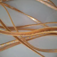 شلنگی انبه ای