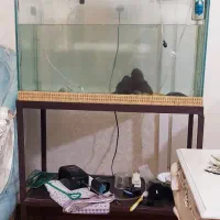 آکواریوم