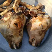 کله پاچه