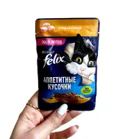 پوچ و غذای خشک خارجی گربه