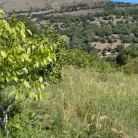 باغ فندق چند هزارمتری در ییلاقات رودبار