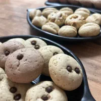 انواع کوکی خانگی
