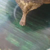 خاویار خوری با نقوش هخامنشی