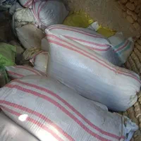 کاه سامان گندم