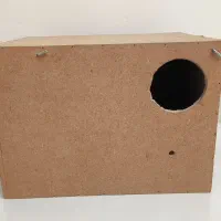 لونه پرنده