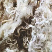 پشم گوسفند شسته شده