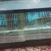 وسایل رستوران