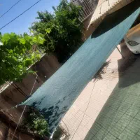 سایبان
