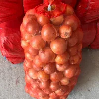 پیاز کله بار رستورانی