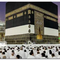 فیش عمره