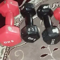 دمبل