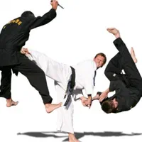 کلاس های هنر رزمی هاپ کی دو GHA