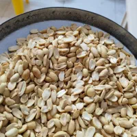 بادام زمینی کره گیری عمده کیسه ۲۵ کیلوگرم