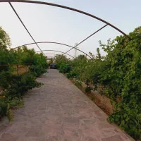 باغ ویلا|فروش خانه و ویلا|بیرجند, |دیوار