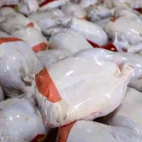 نیرو ماهر مرغ