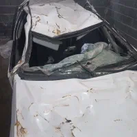 پارس تصادفی مدل۹۱