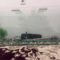 آکواریم